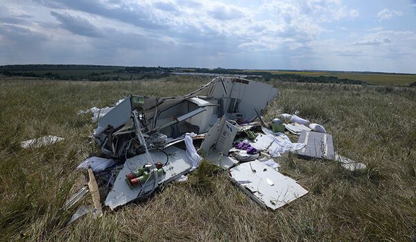 Tragédie du MH17 : le crime de la junte kiévienne se confirme - Sputnik Afrique