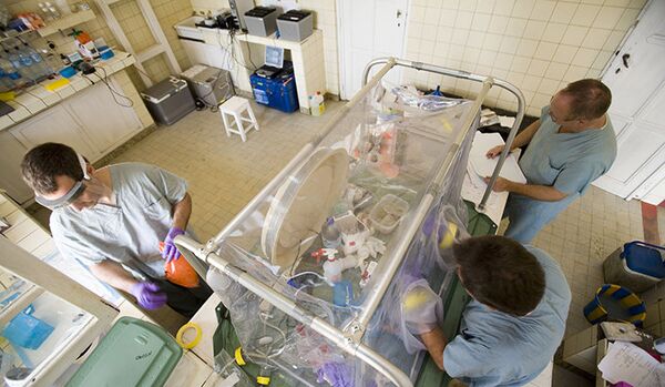 Ebola : plus de 2 000 victimes - Sputnik Afrique