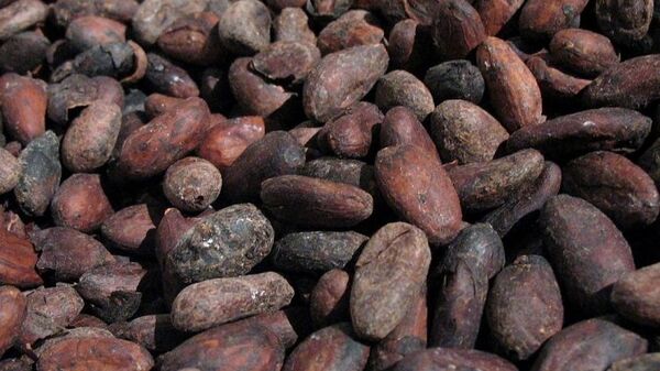 Cacao : la Russie signe l'accord international de 2010 - Sputnik Afrique