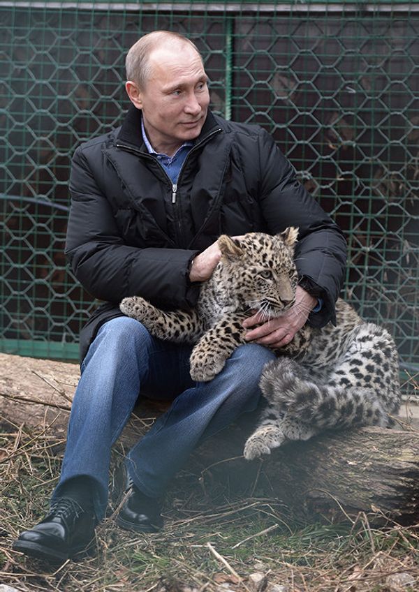 04.02.2014. Le président russe Vladimir Poutine lors de sa visite au Centre d'élevage et de réadaptation de la Panthère de Perse, situé dans le parc national de Sotchi. - Sputnik Afrique