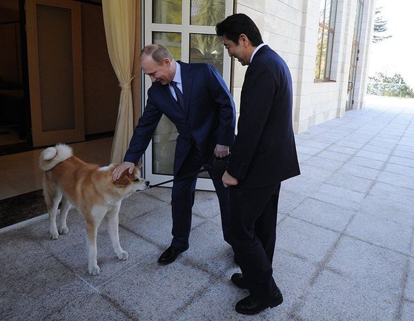 08.02.2014. Vladimir Poutine et le Premier ministre japonais Shinzo Abe lors d'une réunion dans la résidence Botcharov routcheï. - Sputnik Afrique