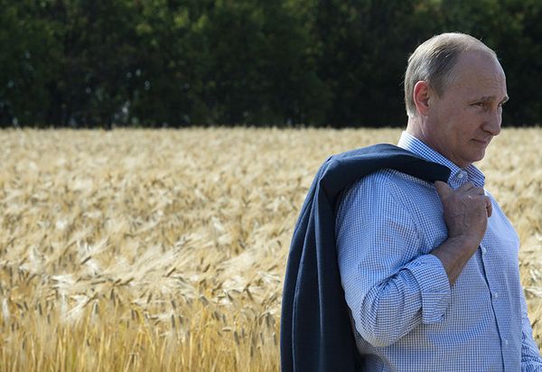 18.06.2014. Vladimir Poutine observe un champ d'orge lors de sa visite dans la région de Stavropol. - Sputnik Afrique