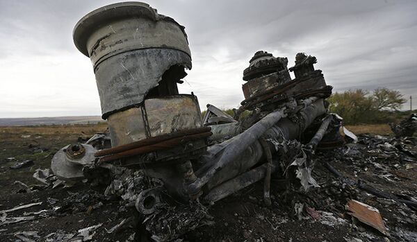 Crash du vol MH17 en Ukraine : de nouvelles informations dévoilées - Sputnik Afrique