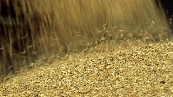 Du blé russe exporté en Orient ? - Sputnik Afrique