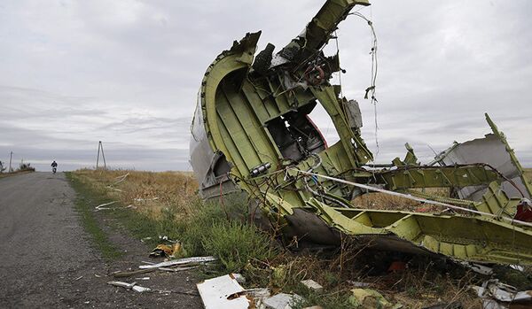 Les experts hollandais sont arrivés sur le site de l'accident de Boeing en Ukraine - Sputnik Afrique
