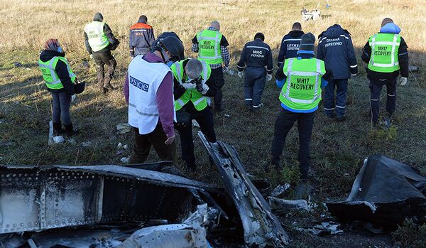 Boeing : les Pays-Bas ont l'intention de sortir de l’Ukraine les débris de l’avion - Sputnik Afrique