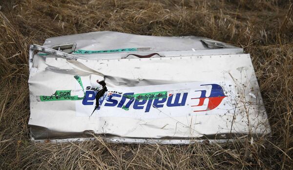 Crash du Boeing malaisien : l’enquête piétine - Sputnik Afrique