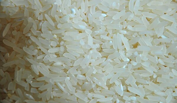 Russie : une récolte record de riz cette année (ministère de l’Agriculture) - Sputnik Afrique