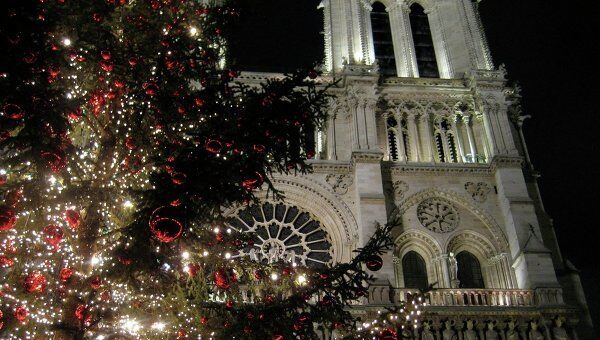 Cathédrale Notre-Dame: le sapin de Noël offert par la Russie - Sputnik Afrique