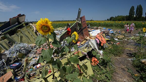 Vol MH17 : une plainte déposée à CEDH contre l'Ukraine suite au crash - Sputnik Afrique