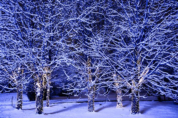 Moscou sous la neige - Sputnik Afrique