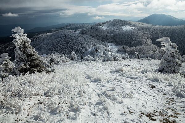 Dans les montagnes de Slovénie après une tempête glaciale. - Sputnik Afrique