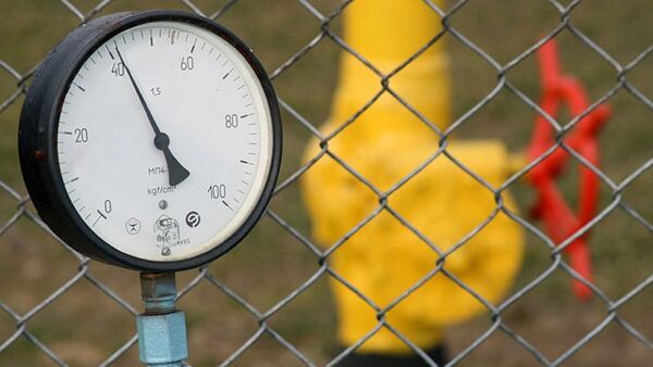 Le gaz, combustible discrédité par une politisation excessive (OMV) - Sputnik Afrique
