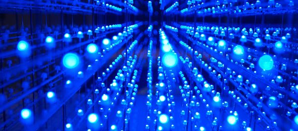 Le superordinateur - Sputnik Afrique