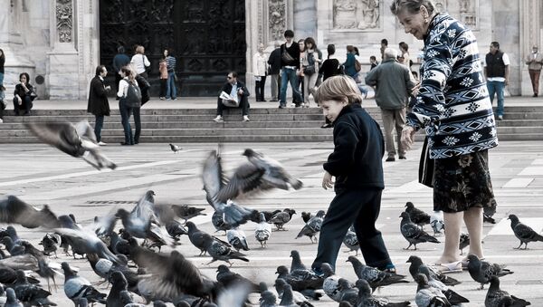 Des pigeons sur une place de Milan - Sputnik Afrique