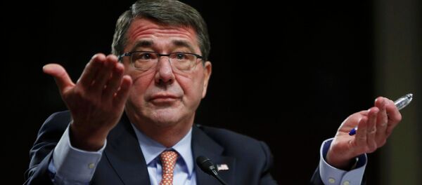 Ashton Carter, secrétaire de la Défense US - Sputnik Afrique