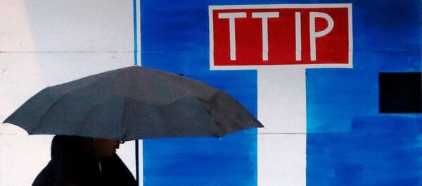 A pedestrian walks past a wooden blockade built by Greenpeace activists at the main entrance of a conference center where negotiators are expected to discuss the 12th Round of the Transatlantic Trade and Investment Partnership (TTIP) in Brussels, Belgium, February 22, 2016. - Sputnik Afrique