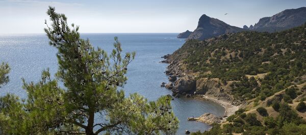 Autorités de la Crimée: visite prochaine d’une délégation ukrainienne dans  la péninsule - Sputnik Afrique