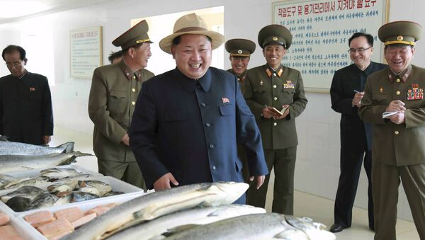La Corée du Nord fait face aux plus lourdes sanctions onusiennes depuis 20 ans - Sputnik Afrique