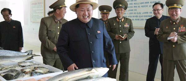 La Corée du Nord fait face aux plus lourdes sanctions onusiennes depuis 20 ans - Sputnik Afrique