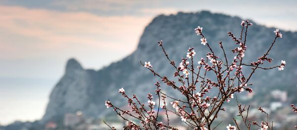 Crimée Crimée - Sputnik Afrique