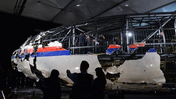 Reconstitution du fuselage du Boeing malaisien abattu dans le ciel du Donbass - Sputnik Afrique
