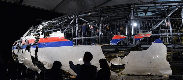 Crash du MH17 - Sputnik Afrique