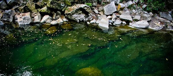 La rivière d'Atoyac - Sputnik Afrique