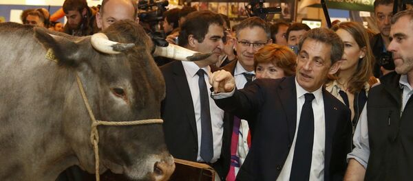 Nicolas Sarkozy au Salon de l’agriculture - Sputnik Afrique