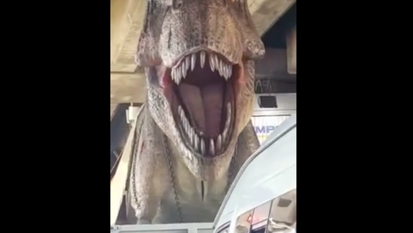 Un tyrannosaure dans les rues de Bangkok - Sputnik Afrique