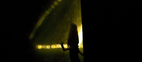 protée anguillard - Sputnik Afrique