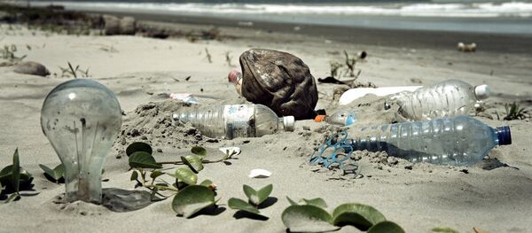 L'homme a-t-il irréversiblement pollué l'océan? - Sputnik Afrique