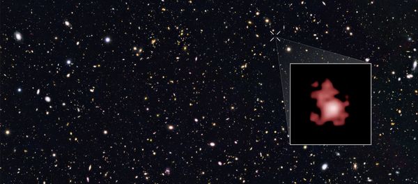 GN-z11, la galaxie la plus lointaine de l'univers GN-z11, la galaxie la plus lointaine de l'univers - Sputnik Afrique