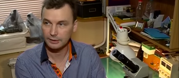 Vladimir Aniskine - Sputnik Afrique