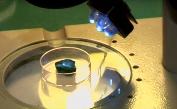 Le plus petit livre du monde créé en Sibérie - Sputnik Afrique