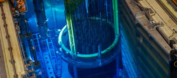 Un réacteur nucléaire - Sputnik Afrique