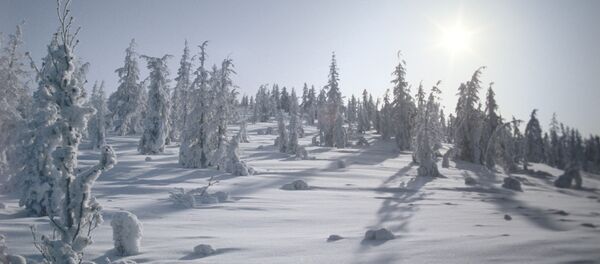 L'hiver à Oïmiakon, en Russie - Sputnik Afrique
