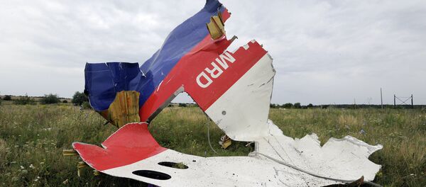 Poutine: les USA ont des données sur le crash du MH17 mais ne les dévoilent pas - Sputnik Afrique