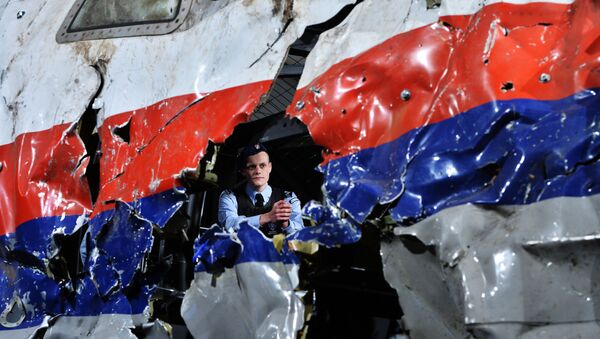 La reconstruction du crash de l'avion de ligne Boeing 777 de Malaysia Airlines (le vol MH17 ) dans l'Est de l'Ukraine le 17 Juillet 2014, au la base militaire Gilze-Reyen aux Pays-Bas - Sputnik Afrique