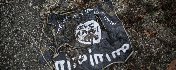 Etat islamique - Sputnik Afrique