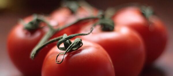 Des tomates - Sputnik Afrique