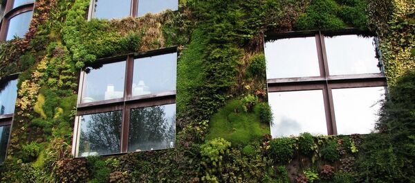 Musée du Quai Branly - Sputnik Afrique