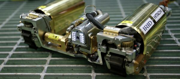 Nuclear probe robot - Sputnik Afrique