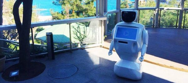 Un robot - Sputnik Afrique