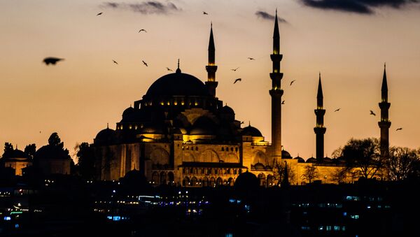 Istanbul, Turquie - Sputnik Afrique