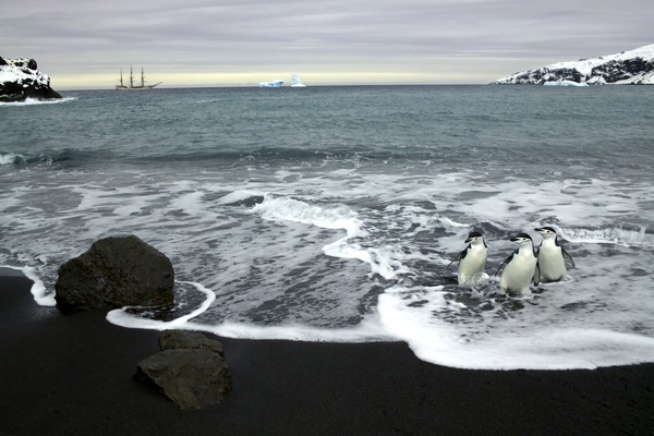 Antarctique: la beauté et la majesté du silence glacial - Sputnik Afrique