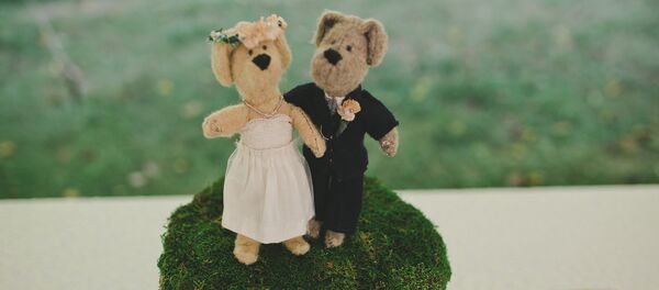 En Inde, 5.000 personnes assistent à un mariage de chiens - Sputnik Afrique