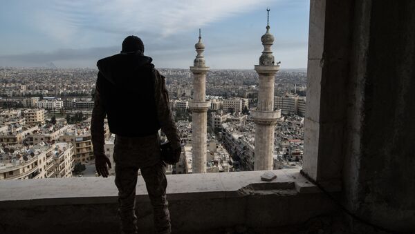 Военнослужащий Сирийской Арабской армии в городе Алеппо - Sputnik Afrique