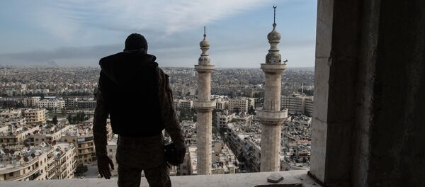 Военнослужащий Сирийской Арабской армии в городе Алеппо Военнослужащий Сирийской Арабской армии в городе Алеппо - Sputnik Afrique