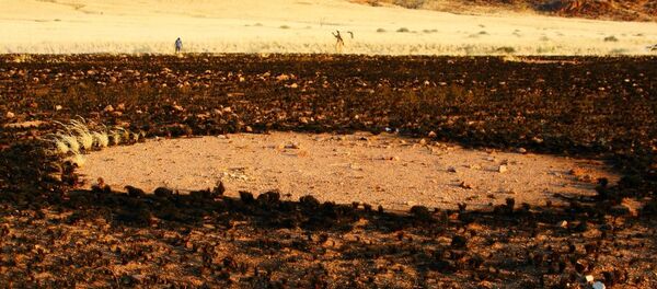 Cercles de fées Cercles de fées - Sputnik Afrique